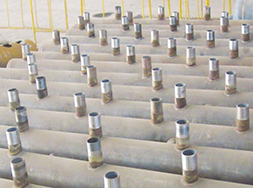 1571188145389764.jpg xgxkgxg19101603.jpg